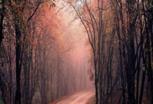 切尔西对阵水晶宫，这场英超对决有哪些看点和悬念？